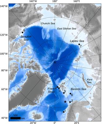 Cold Seeps in a Warming Arctic: Insights for Benthic Ecology